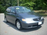 2004 Sage Brush Pearl Honda Odyssey EX-L #14448464