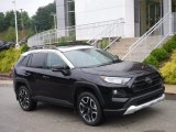 2019 Toyota RAV4 Adventure AWD