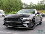 2020 Shadow Black Ford Mustang EcoBoost Premium Fastback #144850888