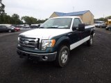 2009 Ford F150 XL Regular Cab 4x4