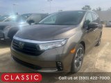 2023 Pacific Pewter Metallic Honda Odyssey Elite #144956774