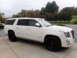 2018 Cadillac Escalade ESV Platinum 4WD Exterior