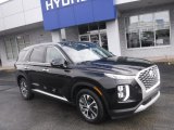 2020 Becketts Black Hyundai Palisade SEL AWD #145037142