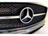 2013 Mercedes-Benz SLS AMG GT Roadster Marks and Logos