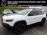 2022 Bright White Jeep Cherokee Trailhawk 4x4 #145055354