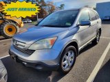 2008 Whistler Silver Metallic Honda CR-V EX-L 4WD #145144292