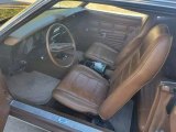 1973 Ford Mustang Hardtop Medium Ginger Interior