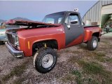 1978 Chevrolet C/K Truck K10 Cheyenne Regular Cab 4x4 Exterior