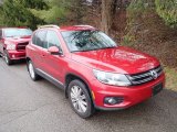 2014 Volkswagen Tiguan SE 4Motion Front 3/4 View