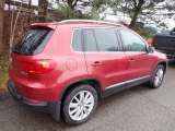 2014 Volkswagen Tiguan SE 4Motion Exterior