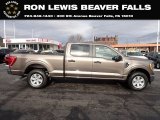 2022 Stone Gray Metallic Ford F150 XLT SuperCrew 4x4 #145387284