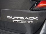 Subaru Outback 2021 Badges and Logos