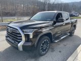 2023 Toyota Tundra Limited CrewMax 4x4 Front 3/4 View