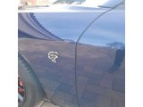 2016 Dodge Challenger SRT Hellcat Marks and Logos