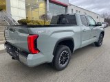 2023 Toyota Tundra TRD Off Road Double Cab 4x4 Exterior