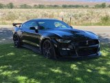2021 Shadow Black Ford Mustang Shelby GT500 #145660419