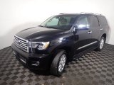 2019 Toyota Sequoia Platinum 4x4 Exterior