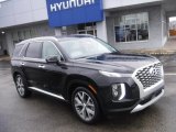 2021 Becketts Black Hyundai Palisade SEL AWD #145770290