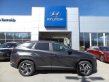 2023 Portofino Gray Hyundai Tucson SEL AWD #145792446