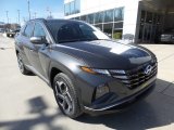 Portofino Gray Hyundai Tucson in 2023