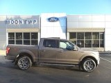 Stone Gray Ford F150 in 2020