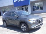 Amazon Gray Hyundai Tucson in 2022