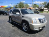 2010 Cadillac Escalade Luxury Front 3/4 View