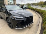 2024 Lexus NX Obsidian