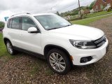 2014 Candy White Volkswagen Tiguan SEL 4Motion #146037570