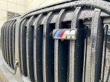 2024 BMW X7 M60i Marks and Logos