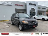 2010 Hyundai Santa Fe GLS