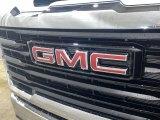 2024 GMC Sierra 2500HD Pro Double Cab 4WD Marks and Logos