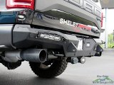 2020 Ford F150 Shelby Baja Raptor SuperCrew 4x4 Exhaust