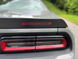 2023 Dodge Challenger R/T Scat Pack Shakedown Edition Marks and Logos