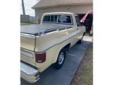 1978 Chevrolet C/K Truck C10 Cheyenne Regular Cab Exterior