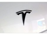 2020 Tesla Model Y Long Range Marks and Logos