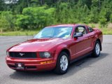 Dark Candy Apple Red Ford Mustang in 2008