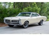 1967 Montego Cream Pontiac GTO 2 Door Hardtop #146291983