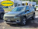 2020 Olive Green Pearl Jeep Cherokee Limited 4x4 #146305644