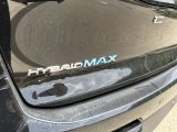 2023 Toyota Crown Platinum AWD Marks and Logos