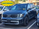 2023 Gravity Gray Kia Telluride SX X-Line AWD #146397954