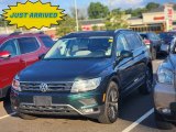 2019 Dark Moss Green Metallic Volkswagen Tiguan SE 4MOTION #146397950
