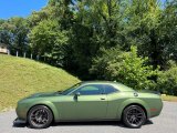 2019 F8 Green Dodge Challenger R/T Scat Pack Widebody #146421765