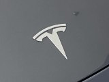 2020 Tesla Model 3 Long Range Marks and Logos