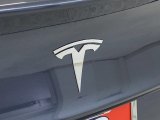 2020 Tesla Model 3 Long Range Marks and Logos