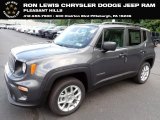 Sting-Gray Jeep Renegade in 2023