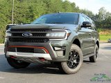 Forged Green Metallic Ford Expedition in 2023