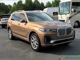 2019 BMW X7 xDrive40i Exterior