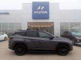 Titan Gray Hyundai Tucson in 2024