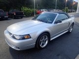 2001 Ford Mustang Cobra Convertible Front 3/4 View